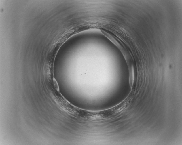 X0000055520456200508191550