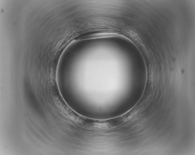 X0000055520457200508191550