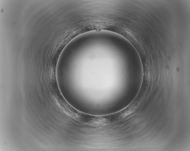 X0000055520459200508191550