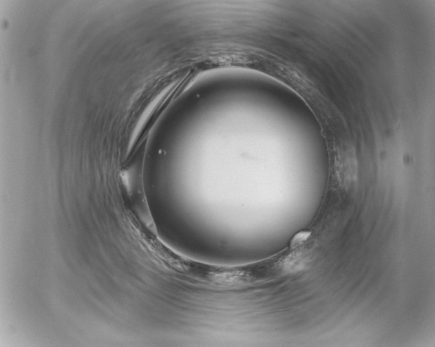 X0000055520461200508191550