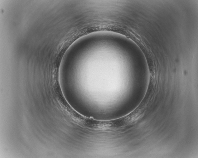 X0000055520462200508191550