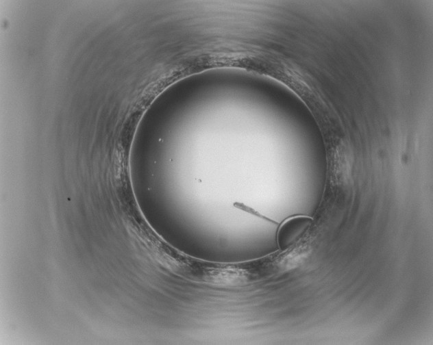 X0000055520463200508191550