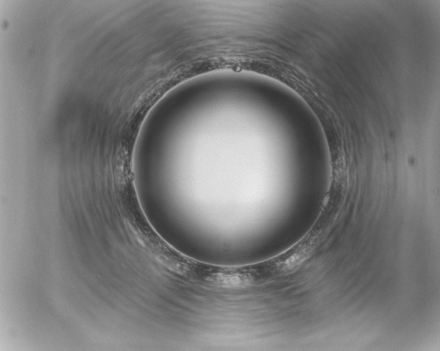 X0000055520464200508191550