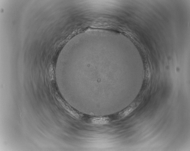 X0000055520465200508191550