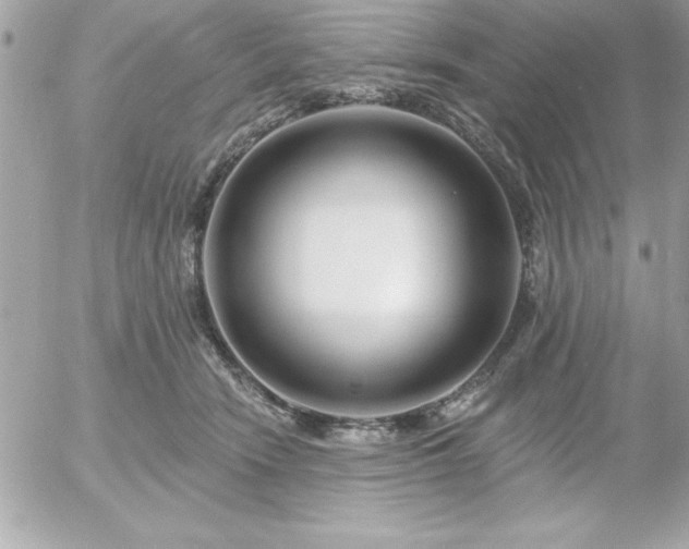 X0000055520466200508191550