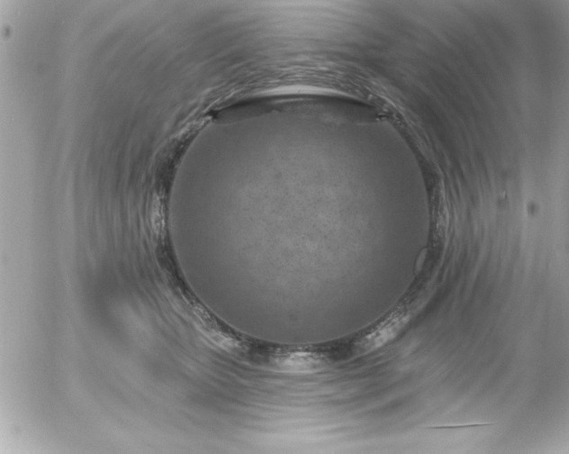 X0000055520467200508191550