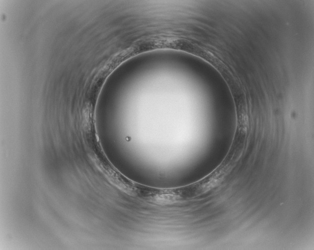 X0000055520468200508191550