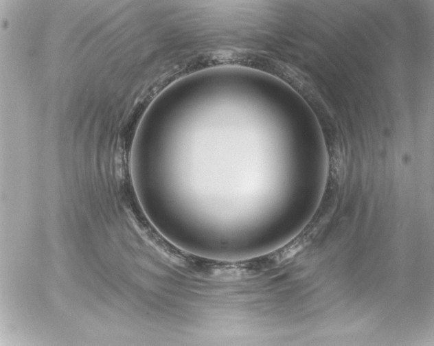 X0000055520470200508191550