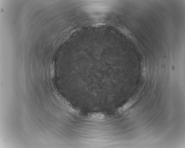 X0000055520471200508191550