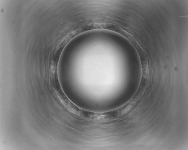 X0000055520472200508191550