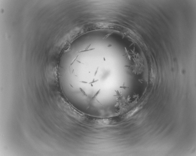 X0000055520473200508191550