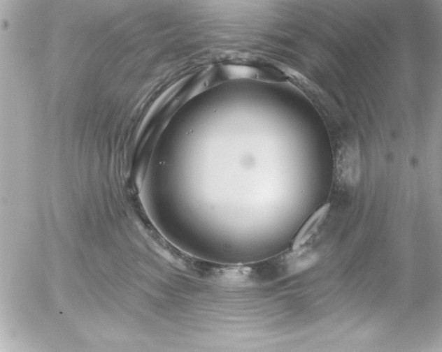 X0000055520474200508191550