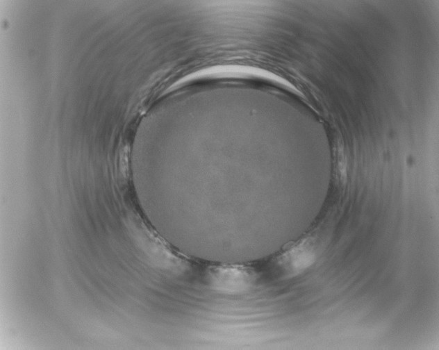 X0000055520475200508191550