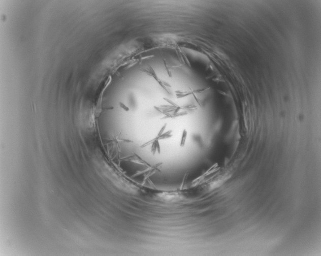 X0000055520477200508191550