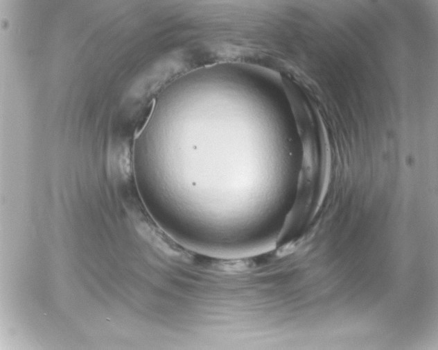 X0000055520479200508191550