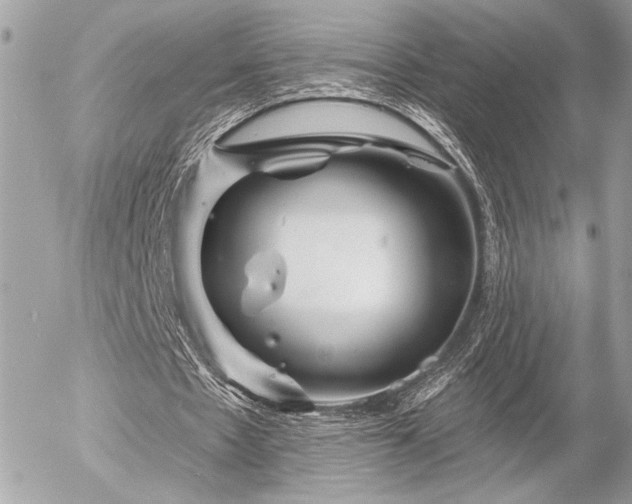 X0000055520481200508191549