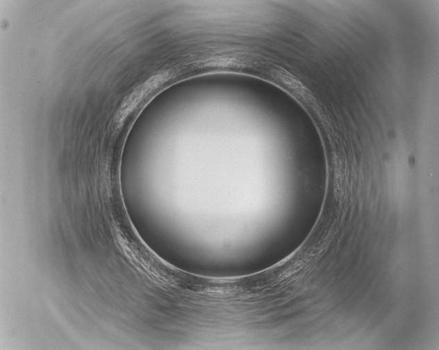 X0000055520482200508191549