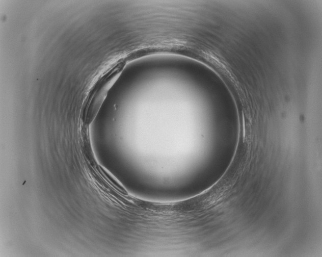 X0000055520483200508191549