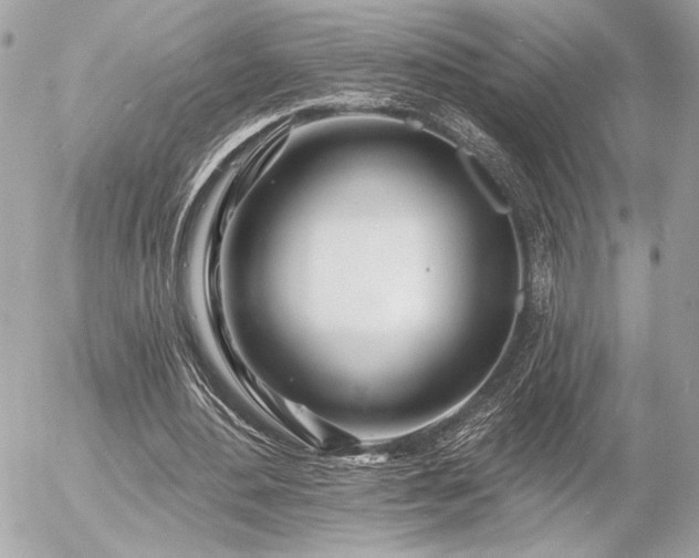 X0000055520484200508191549