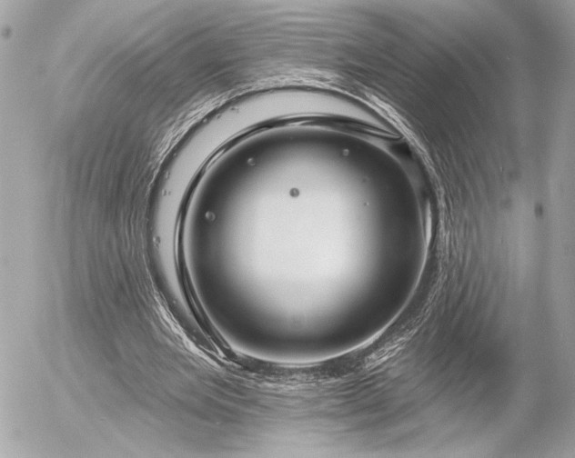 X0000055520485200508191549