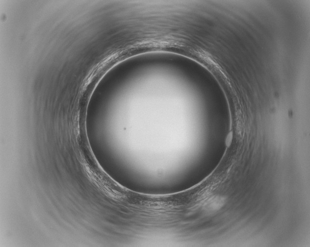 X0000055520486200508191549