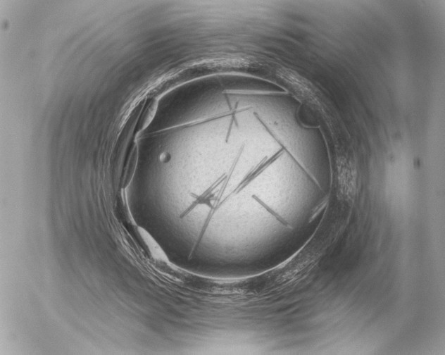 X0000055520487200508191549