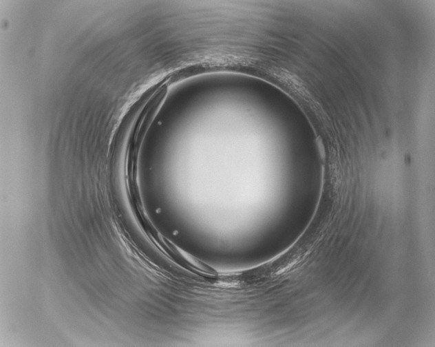 X0000055520488200508191549