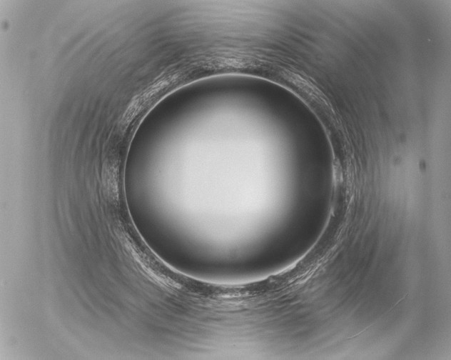 X0000055520489200508191549