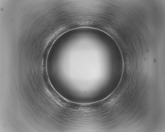 X0000055520490200508191549