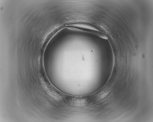 X0000055520491200508191549