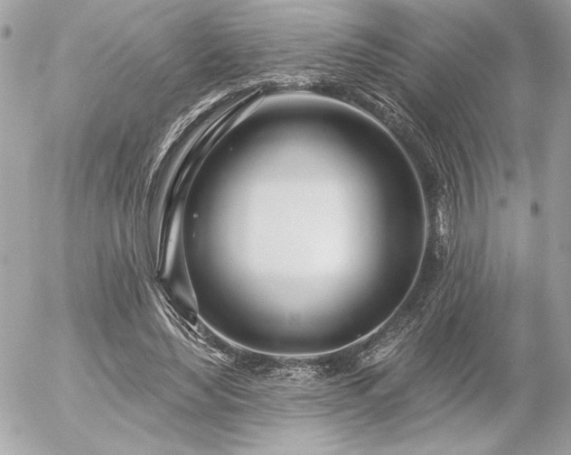 X0000055520492200508191549