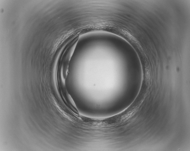 X0000055520493200508191549