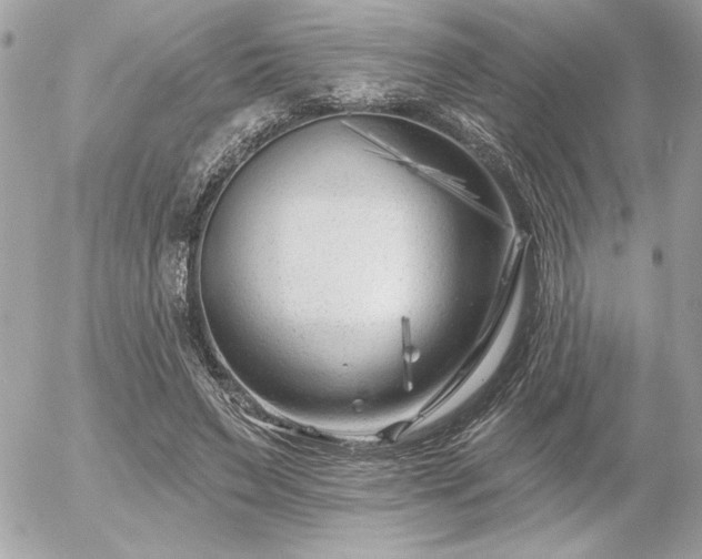 X0000055520495200508191549