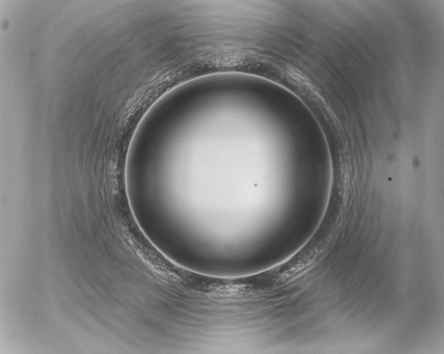 X0000055520497200508191549