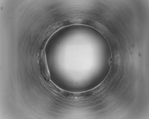 X0000055520498200508191549