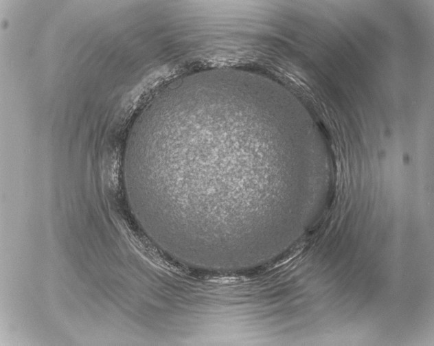 X0000055520499200508191549