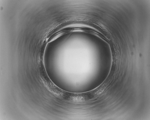 X0000055520500200508191549