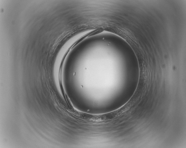 X0000055520502200508191549