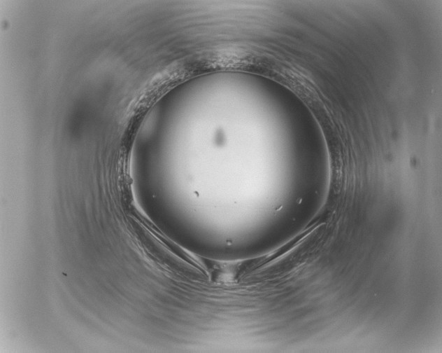 X0000055520503200508191549