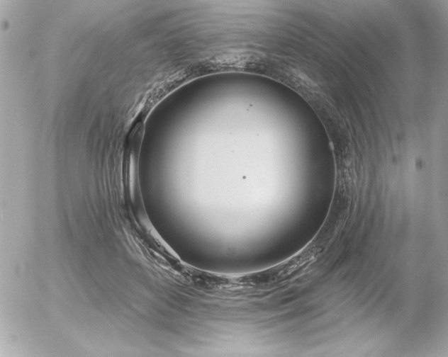 X0000055520504200508191549