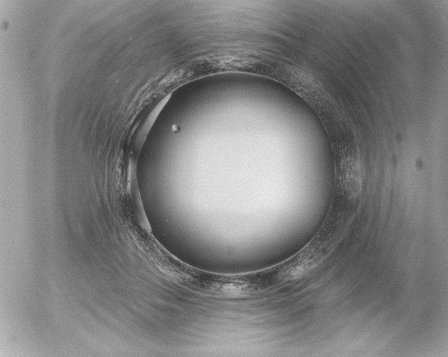 X0000055520506200508191549