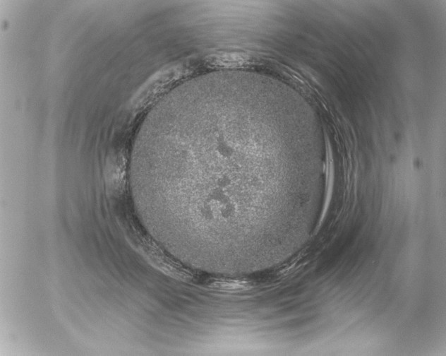 X0000055520507200508191549