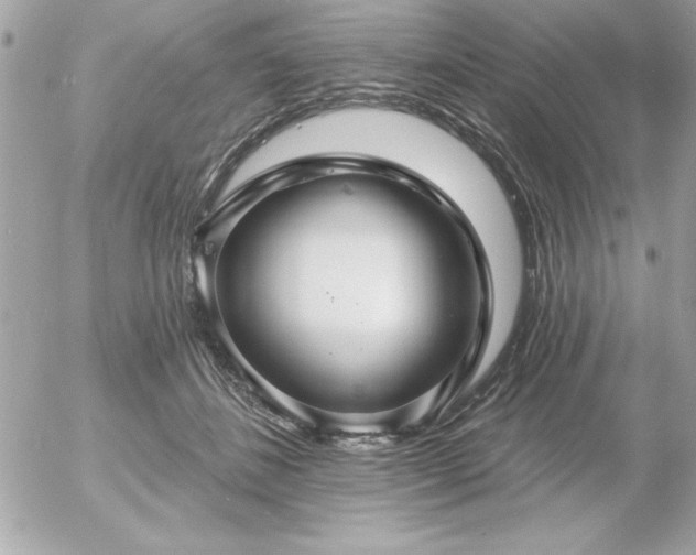 X0000055520508200508191549