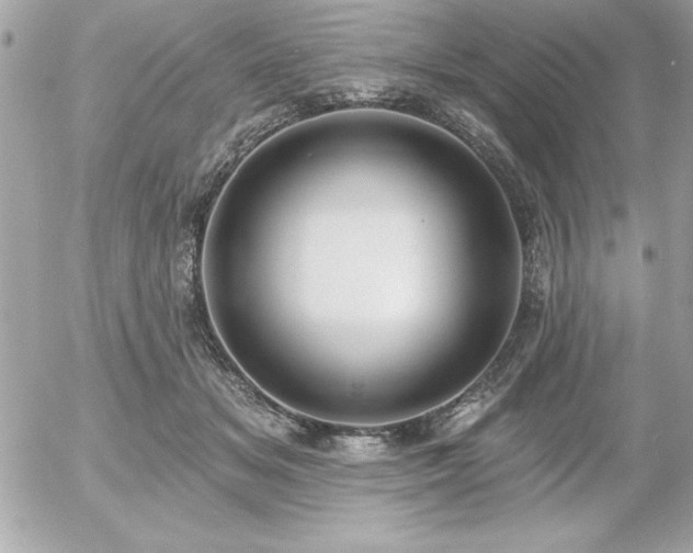 X0000055520509200508191549