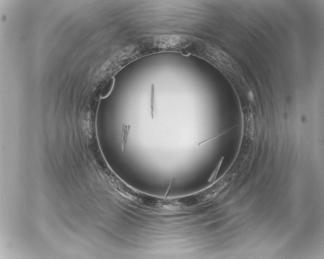 X0000055520510200508191549