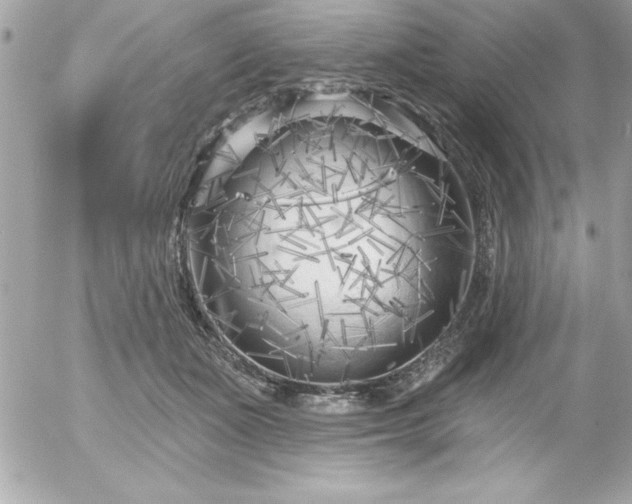 X0000055520511200508191549