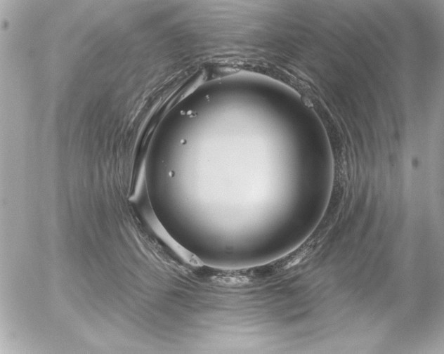 X0000055520512200508191549