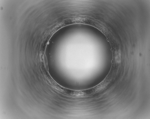 X0000055520514200508191549