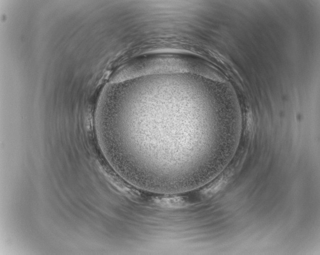 X0000055520517200508191549