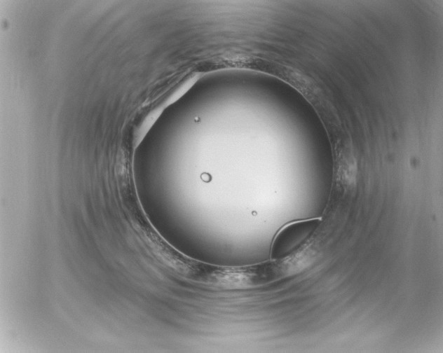 X0000055520518200508191549